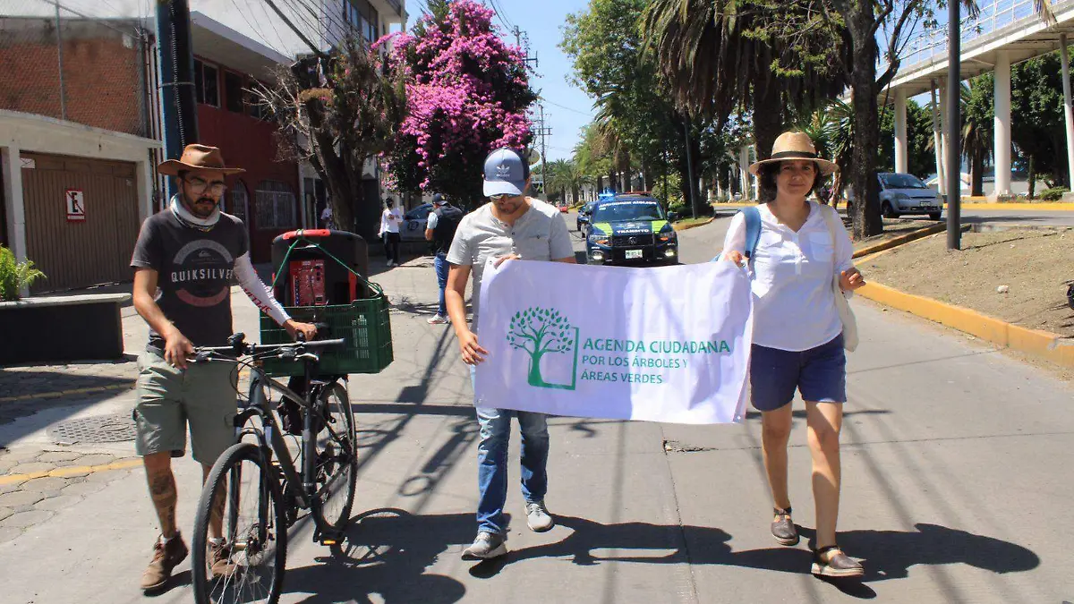 Colectivo marcha en contra de la tala de árboles por empresa Chirey