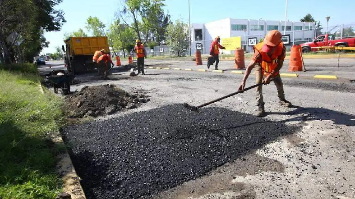 BACHES