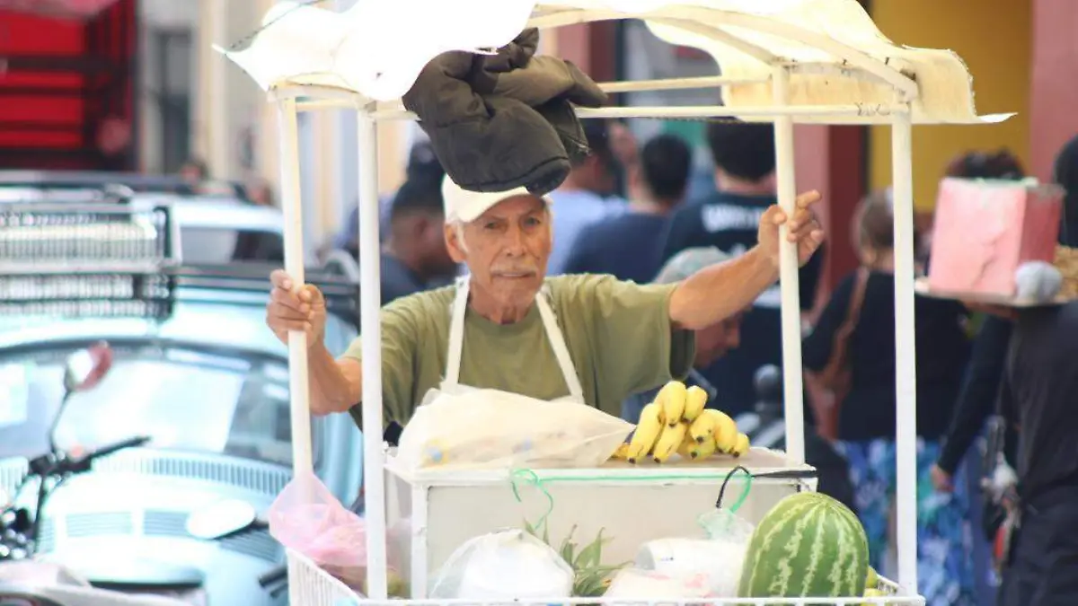 ¿Qué enfermedades son comunes en la vejez?