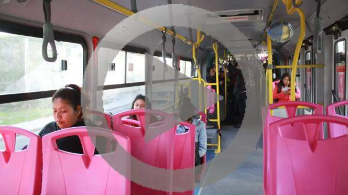 HISTORIA 2 rosa