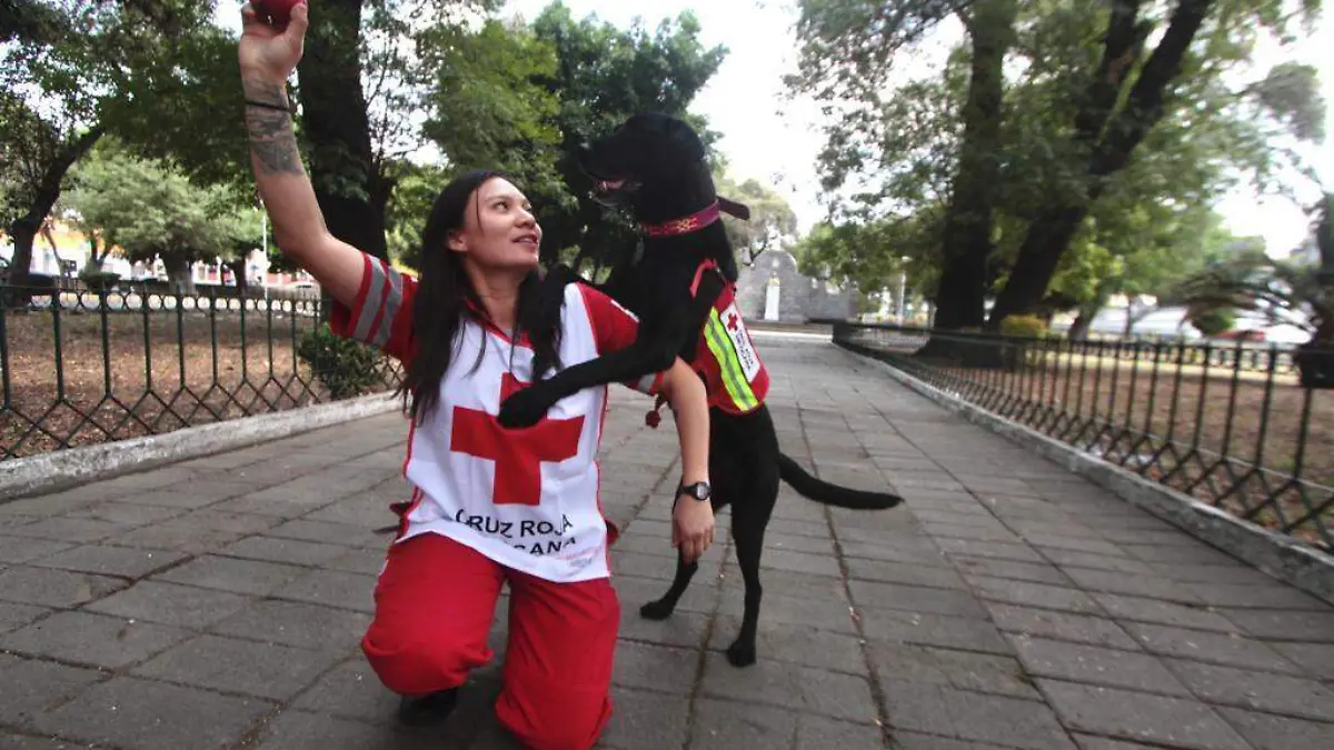 Anneth, lider del grupo K9 de la Cruz Roja en Puebla1