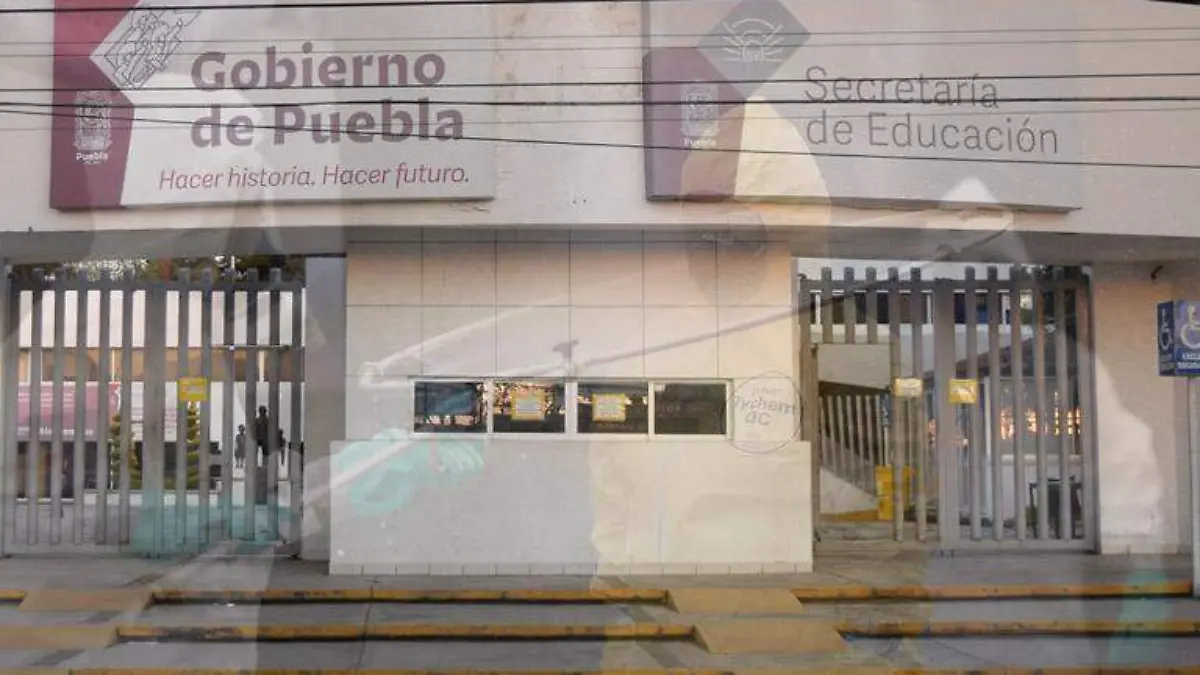 sep fumigación 
