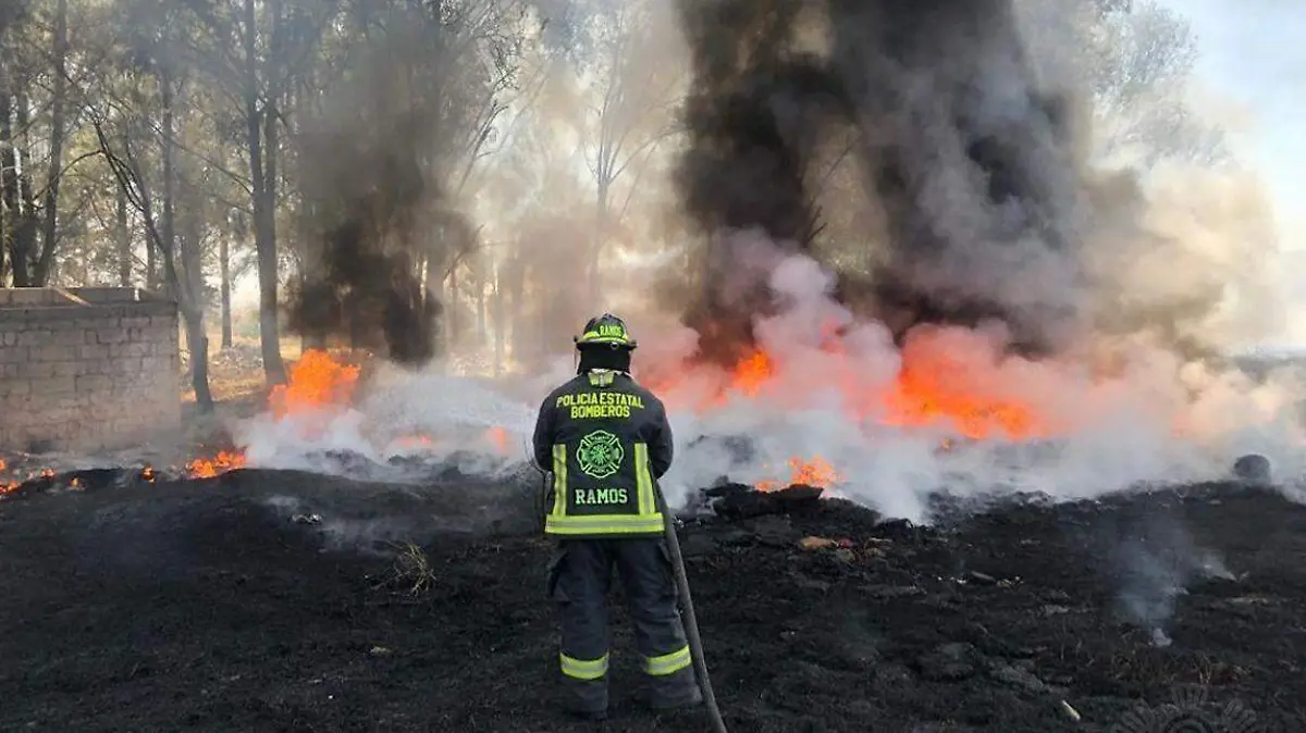 El cuerpo de Bomberos ha atendido mil223 incendios en pastizales en lo que va del año 