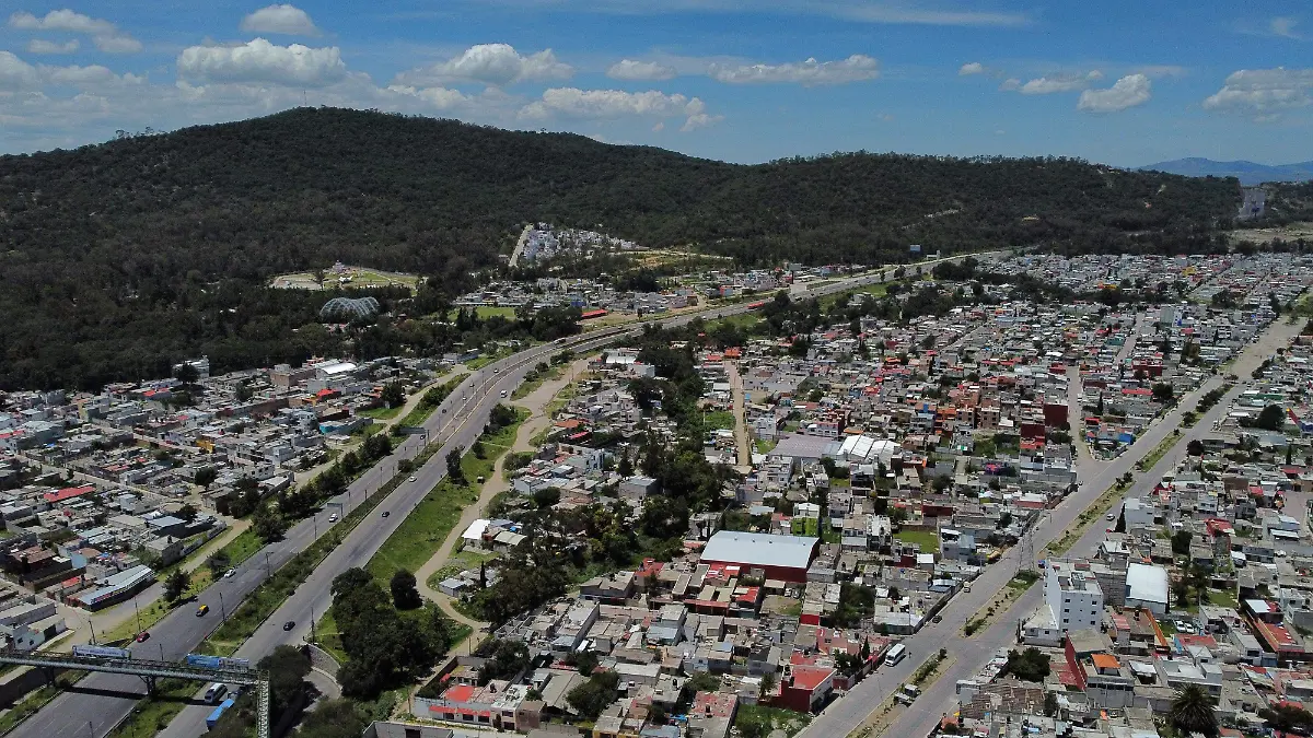 Día Nacional del Árbol: Deforestación crece aceleradamente en Puebla