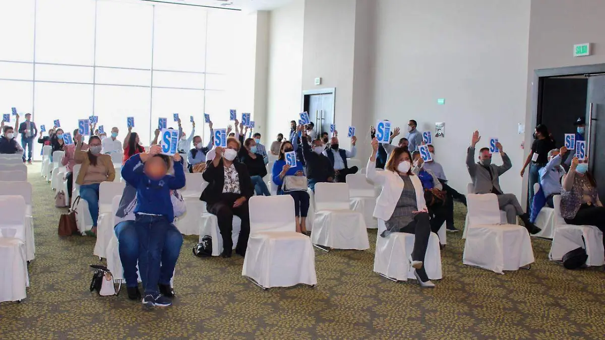 WhatsApp Image 2021-08-22 at 17.42.50