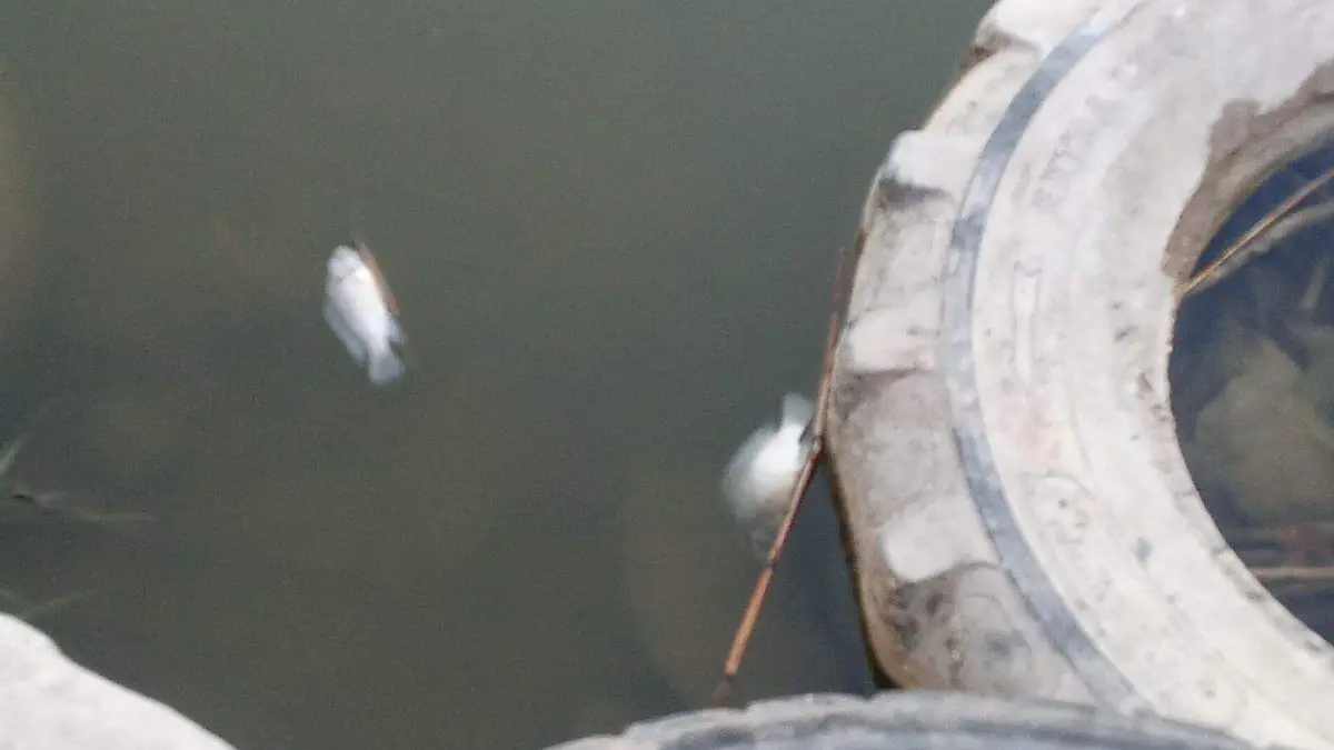 Realizarán las investigaciones correspondientes