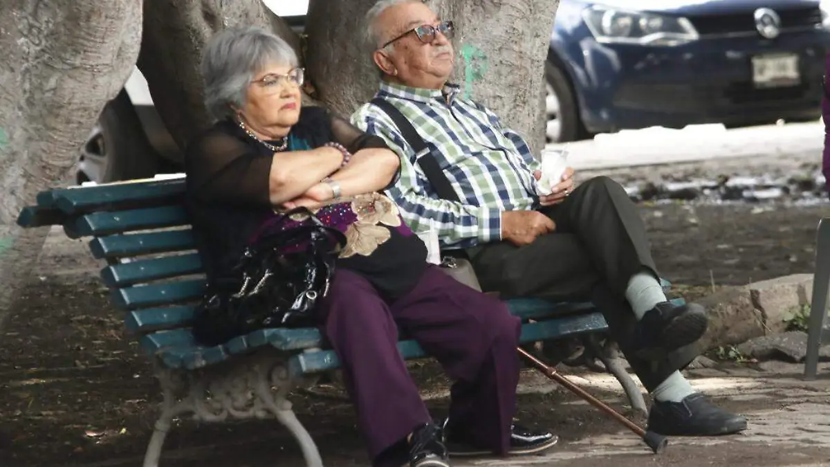 Las limitaciones físicas también se hacen presentes en los adultos mayores