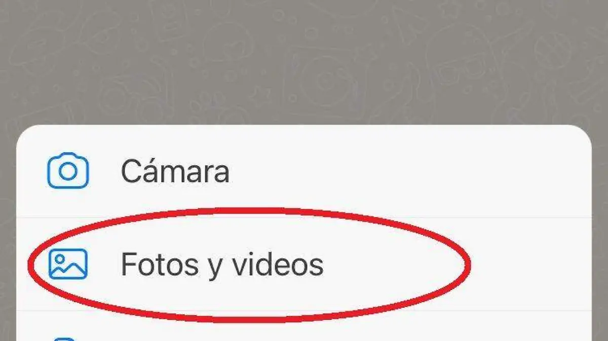 Elegir la foto o imagen que vas a compartir