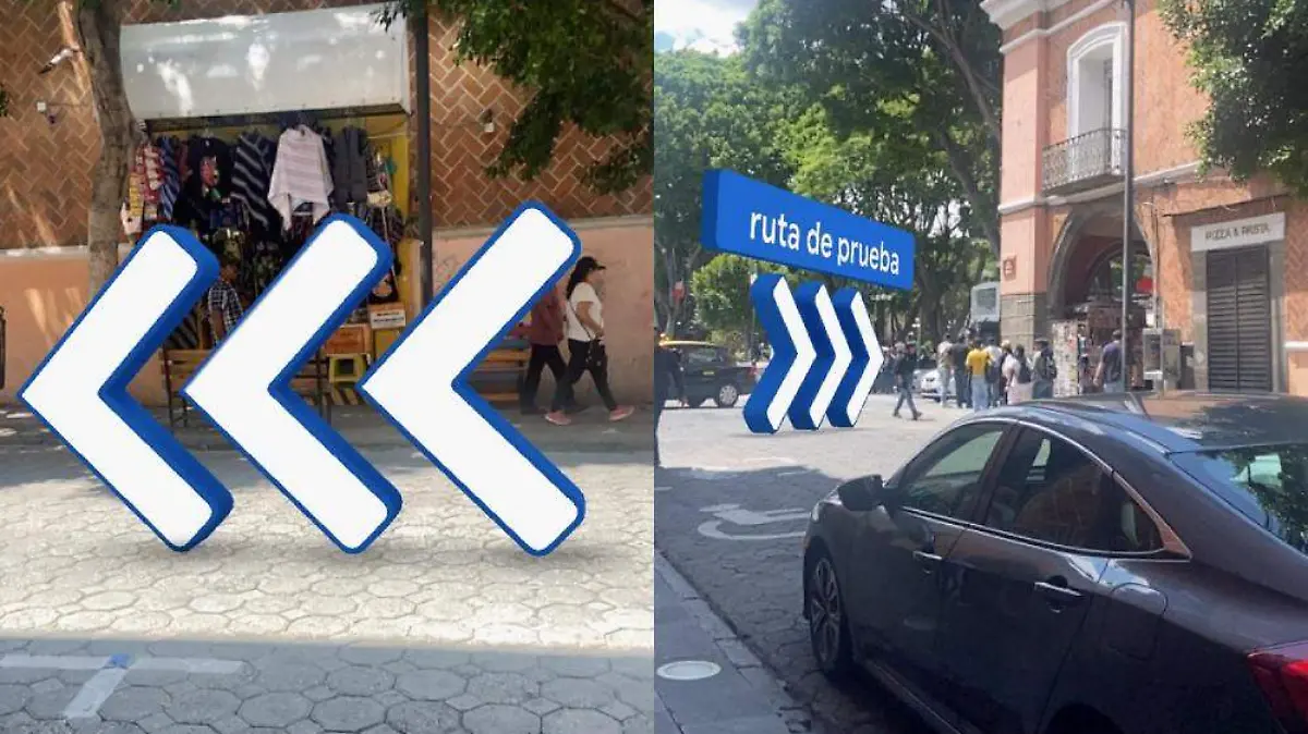 El nombre real de esta opción es ‘Live View’