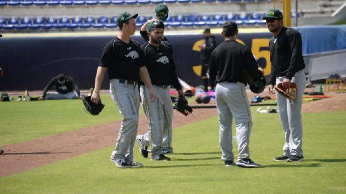 los-pericos-35pcolor