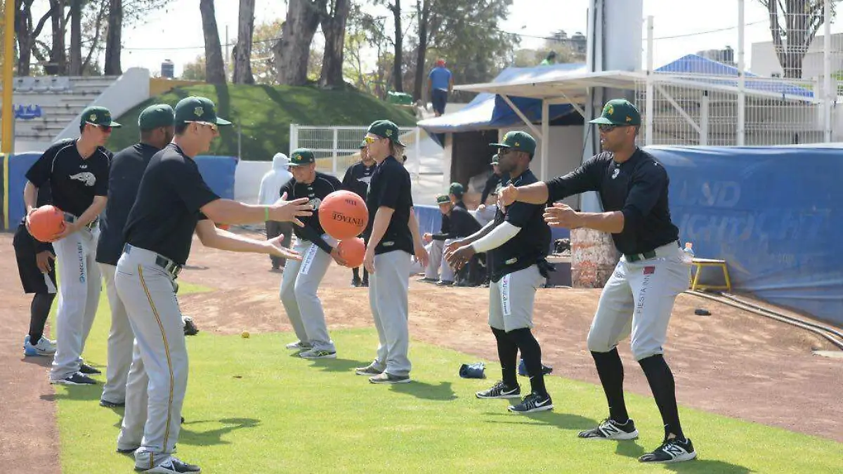 Los emplumados 50p byn - copia