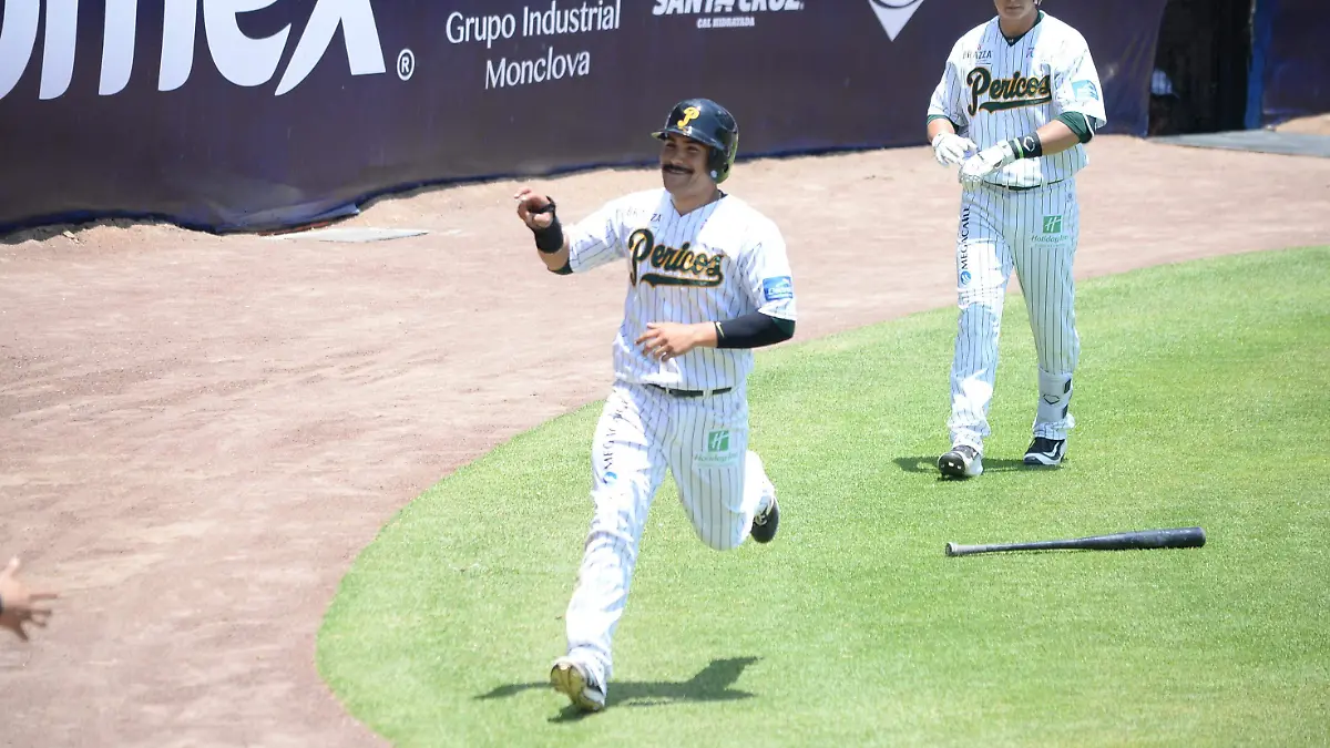 EL PACHUCO 20CMALTO BN