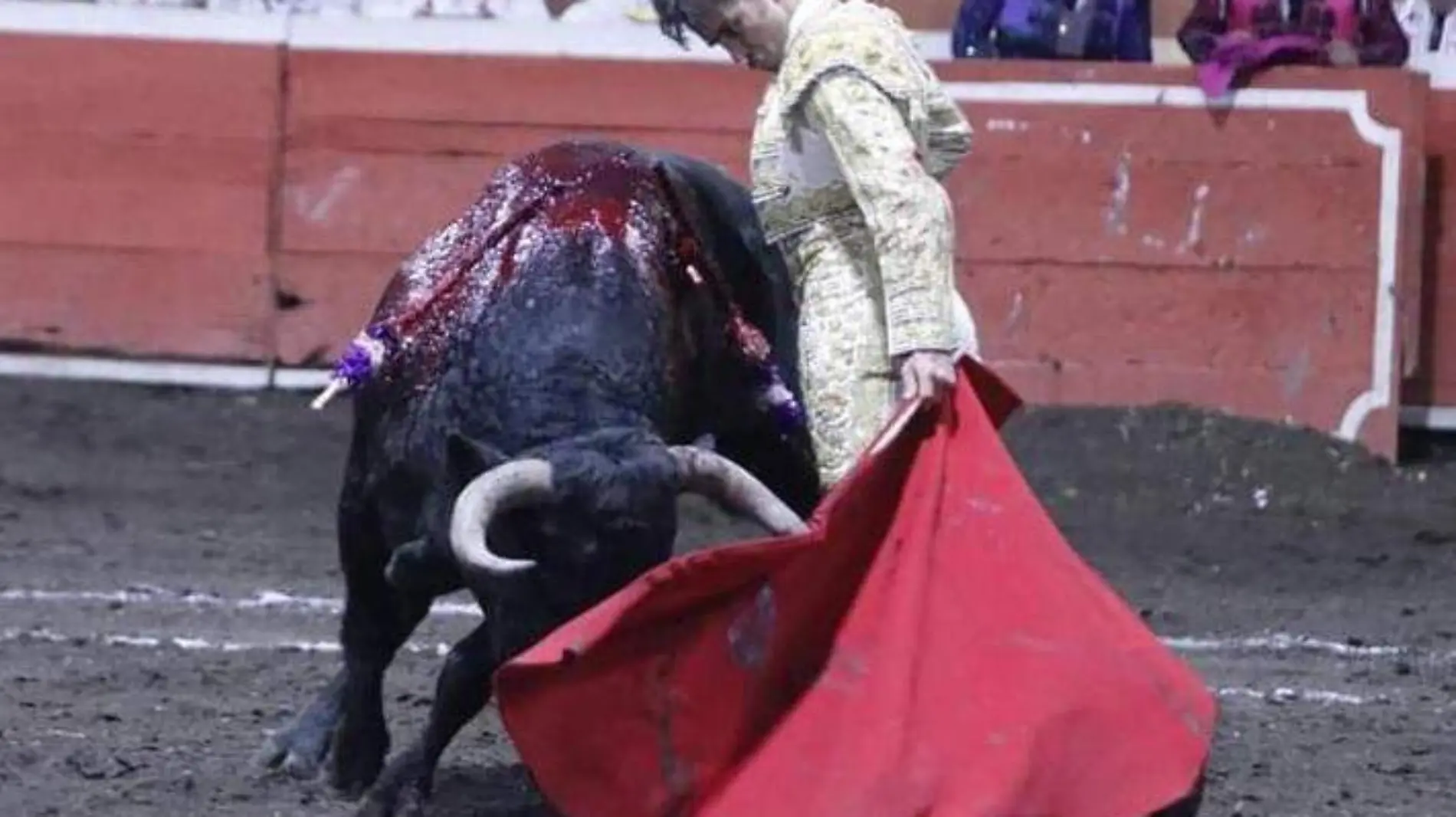 TOROS