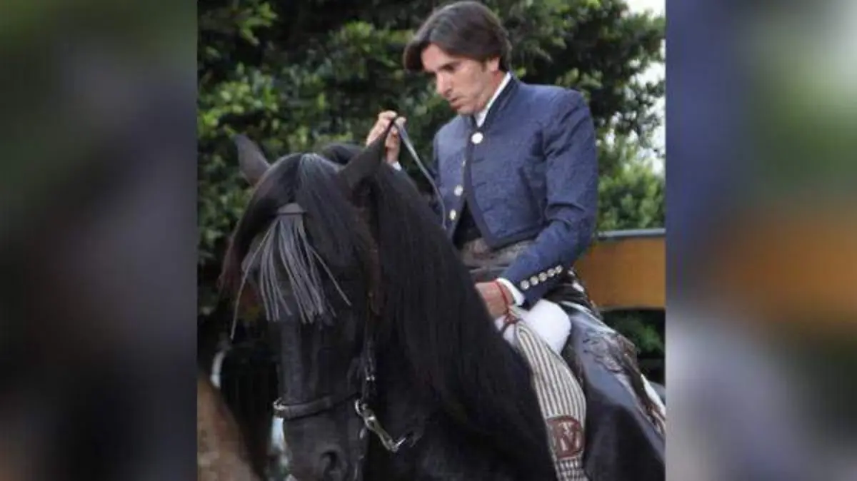 DIEGO 28PCOLOR