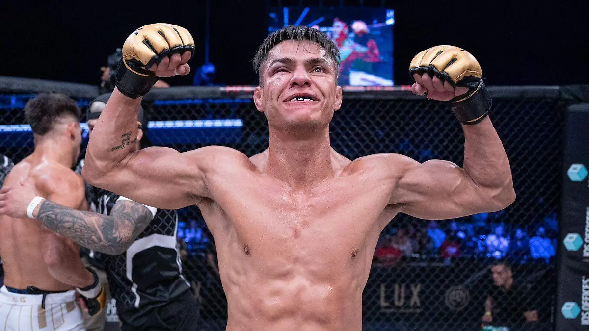 Artes marciales mixtas