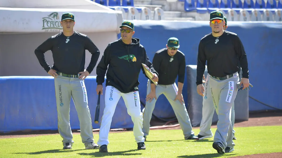 el timonel17acm alto color