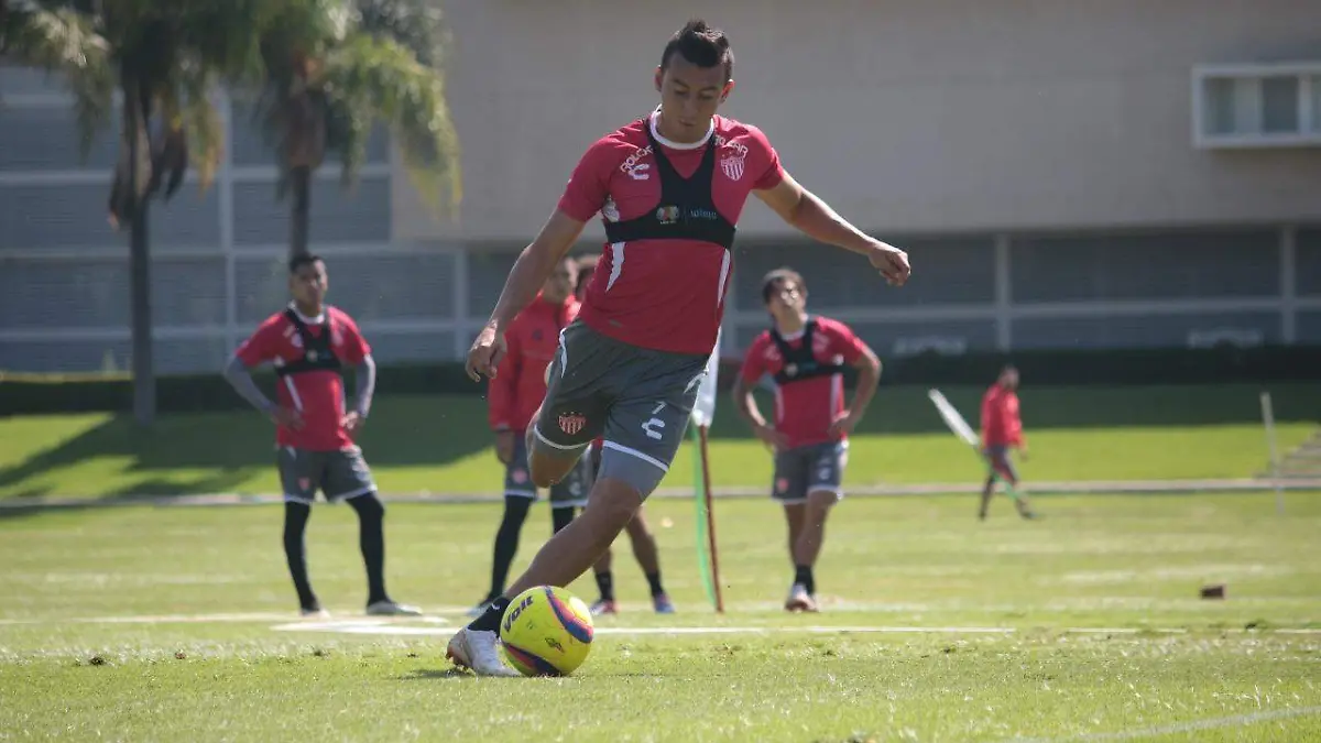 fideo alvarez