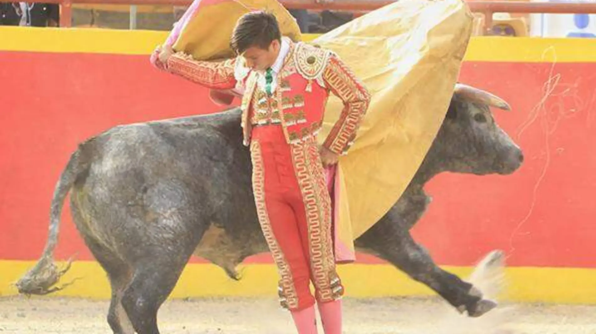 Toros