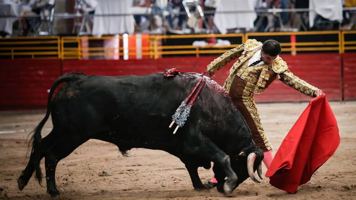 Previo a la corrida, los jóvenes aspirantes Daniel Nava, Marco Pelaez y Juan Pablo Ibarra lidiaron a la usanza portuguesa