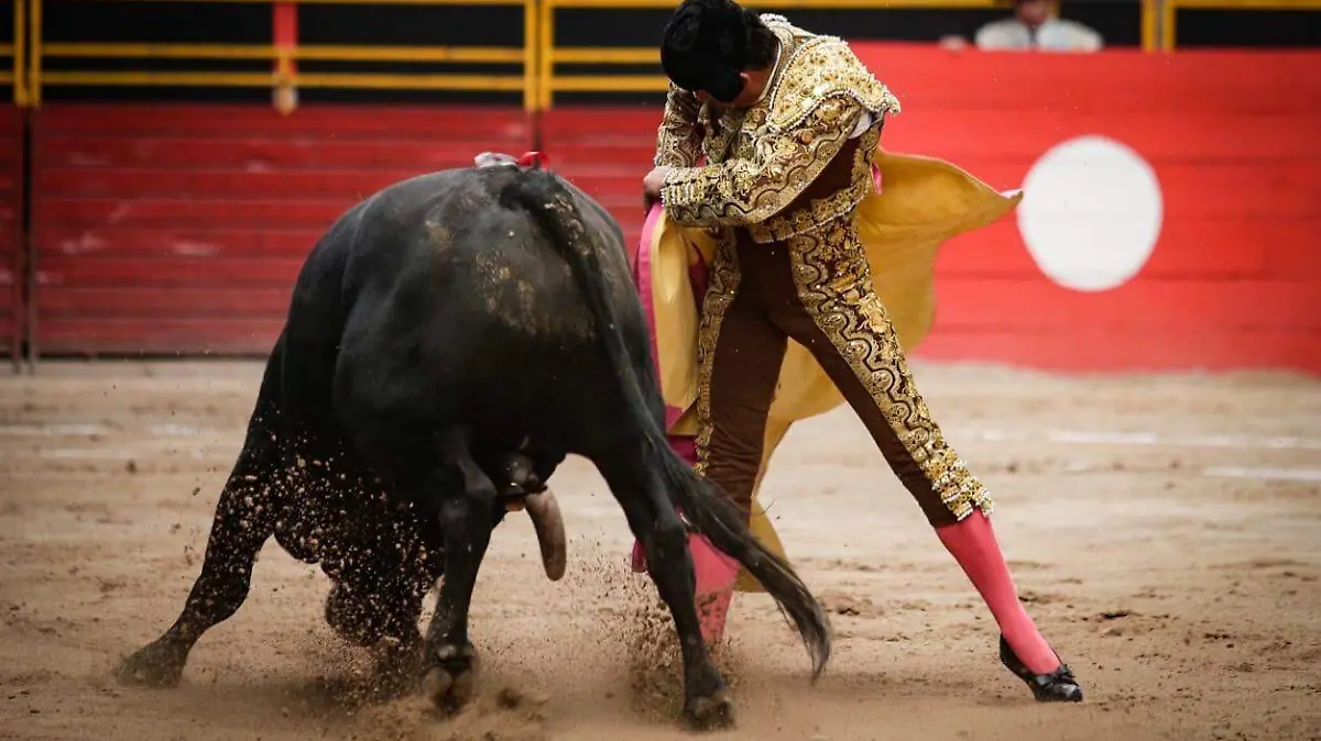 Se lidiaron seis ejemplares se Zacatepec, bien presentados, siendo el tenor de la corrida la nobleza y bravura
