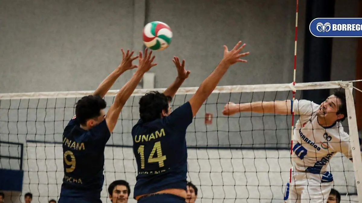 el equipo de voleibol femenil de sala del Tecnológico de Monterrey Campus Puebla, cierra fuerte la temporada regular