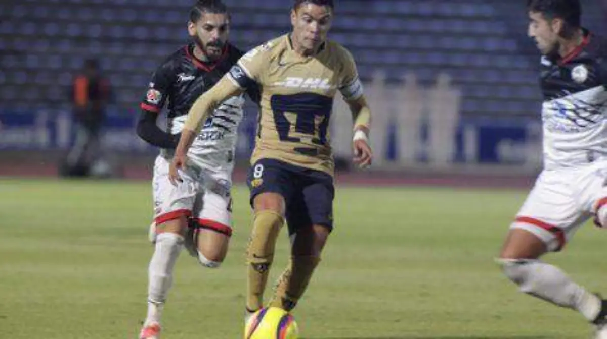 foto-lobos-pumas-2-raul-rodriguez-471x314