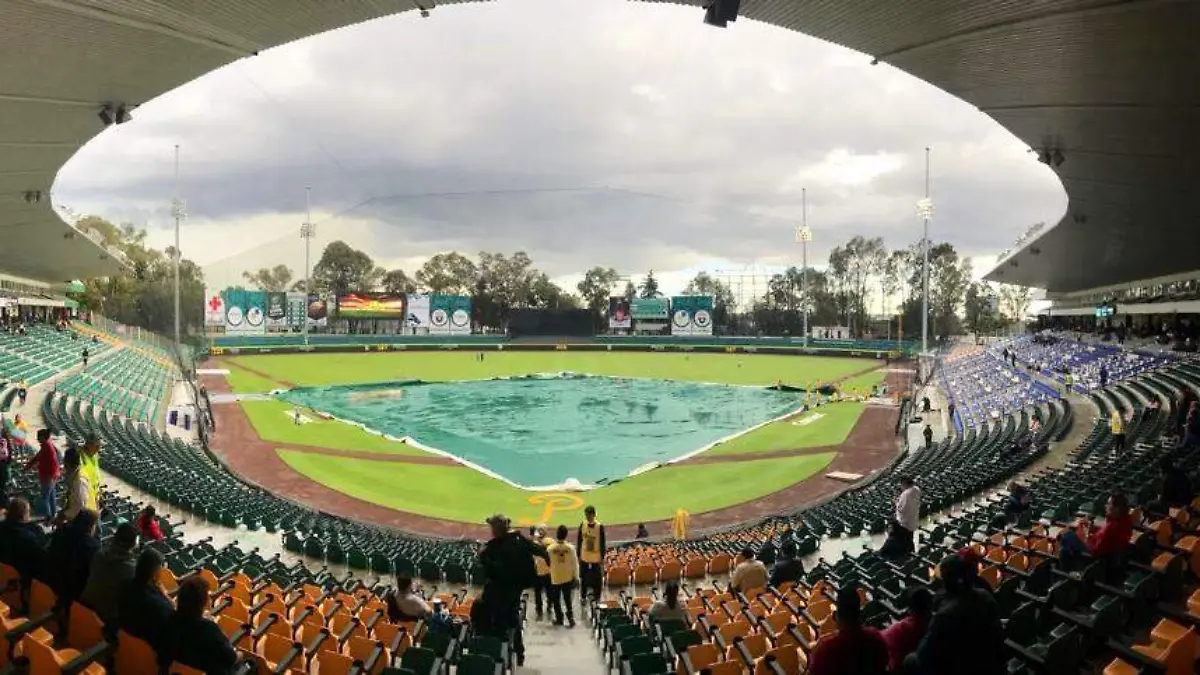 Pericos lluvia