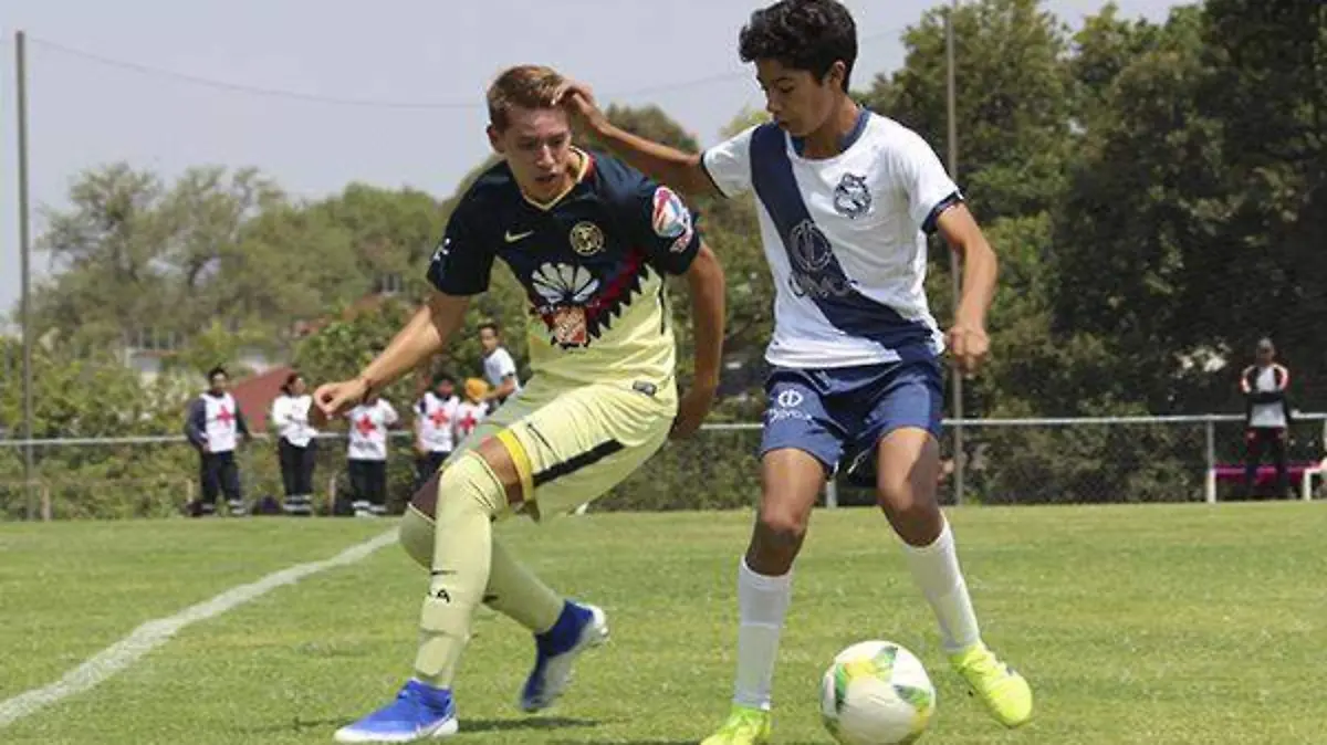 Cantera1