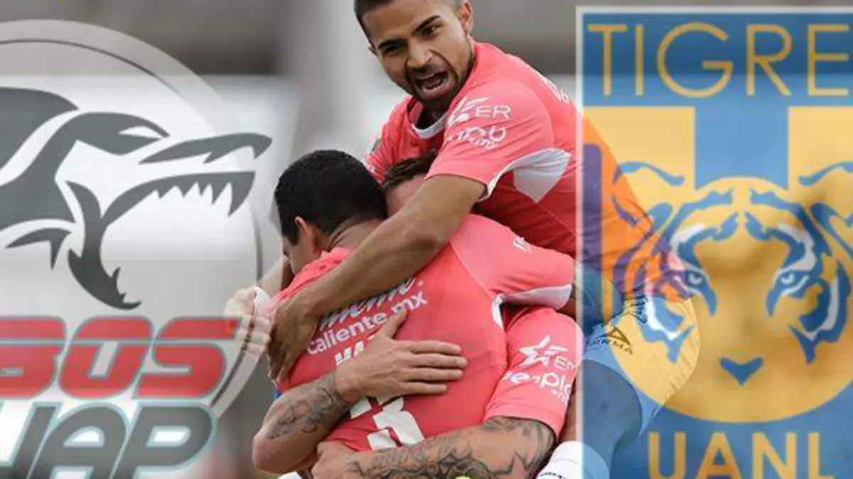 Lobos Tigres