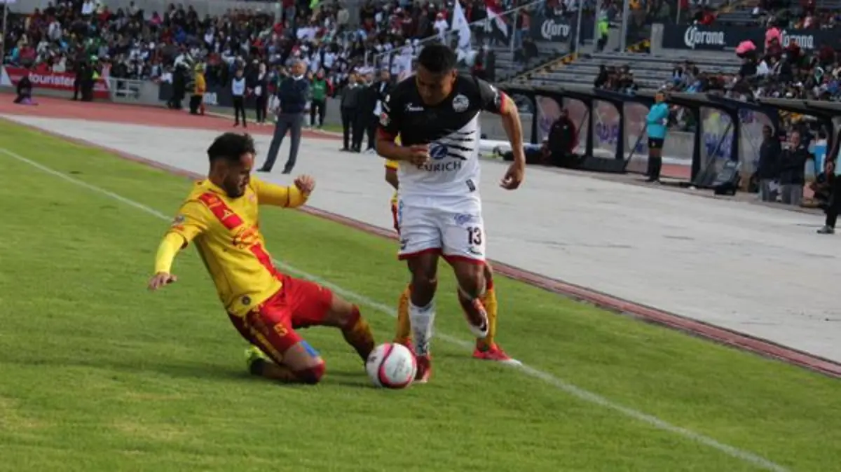 MONARCAS-byn-30p