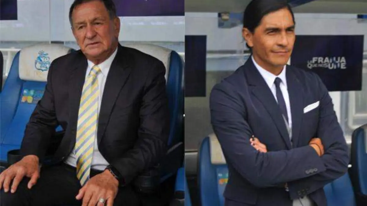 dt puebla lobos
