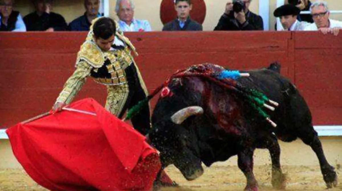 dep-toros-plazamexico-483x314