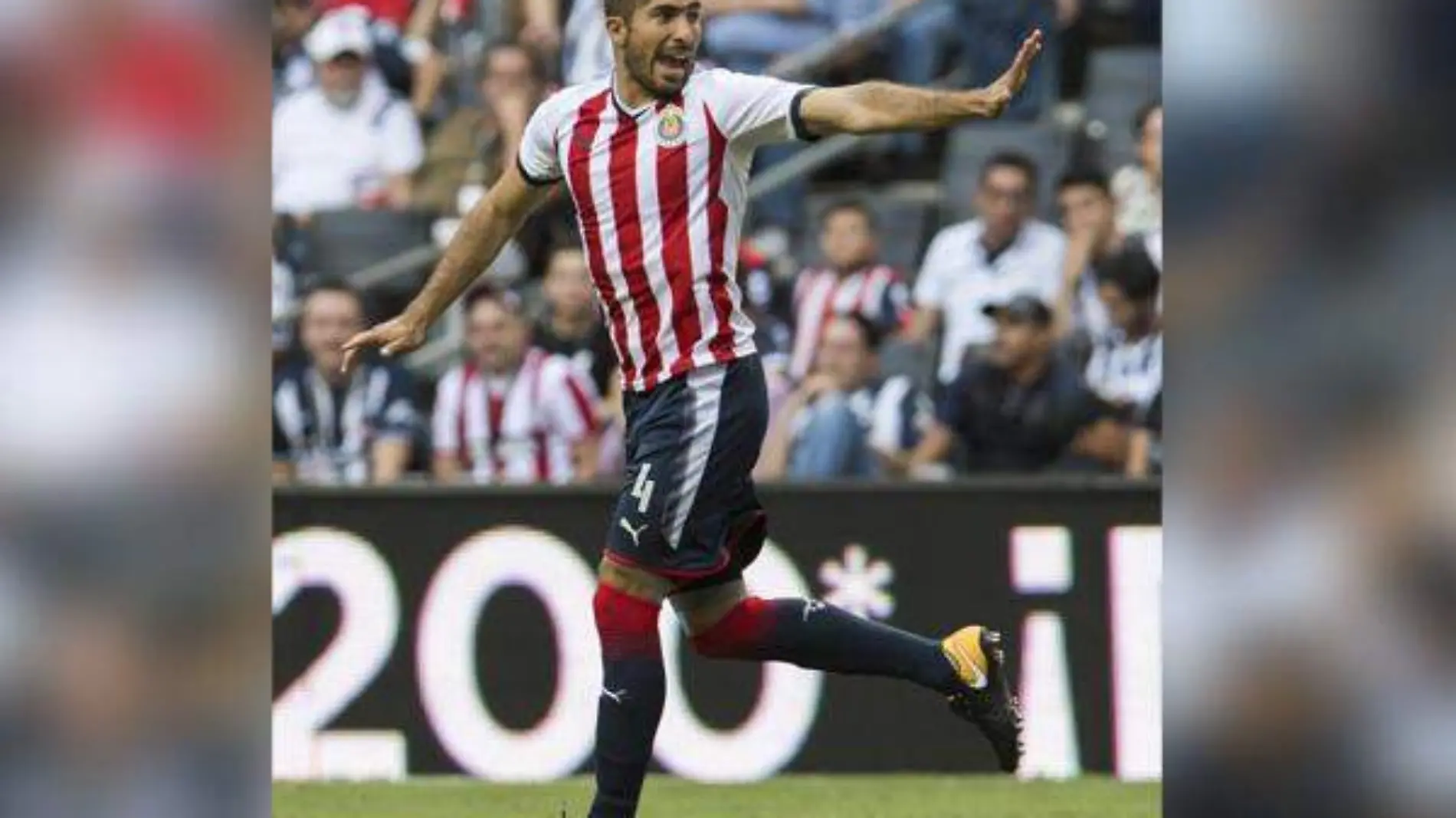 chivas