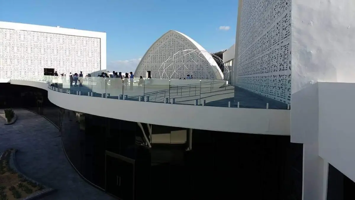 museo de la evolucion