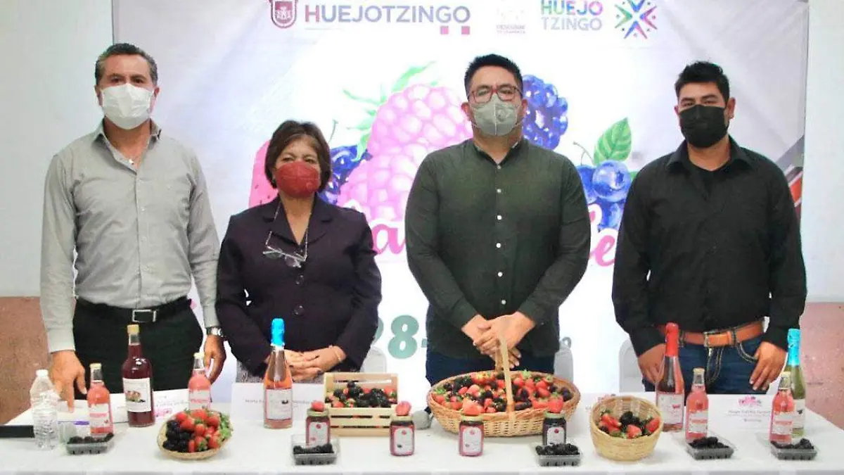 Berries en Huejo