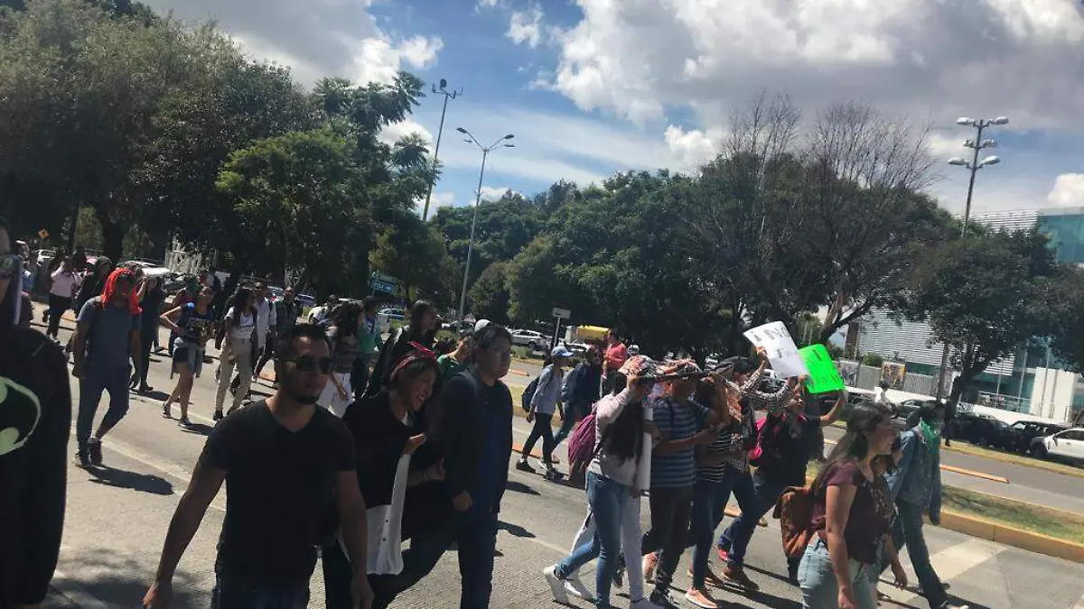 manifestacion
