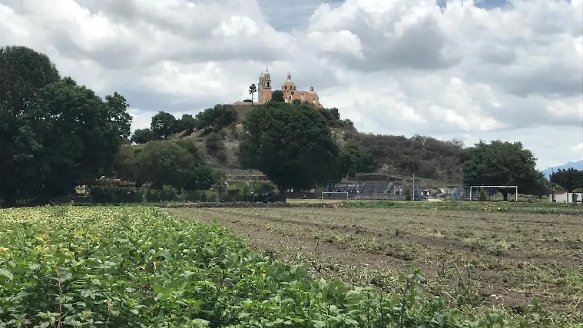 flor cholula