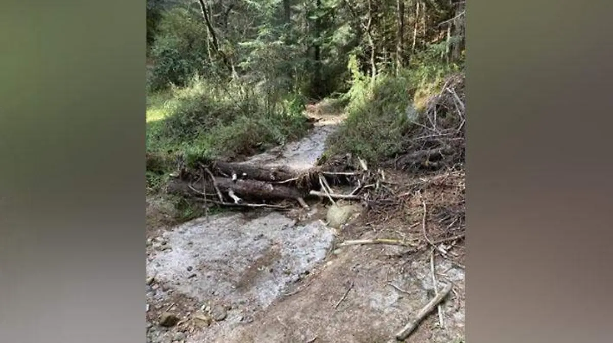 TALA TLAHUAPAN1