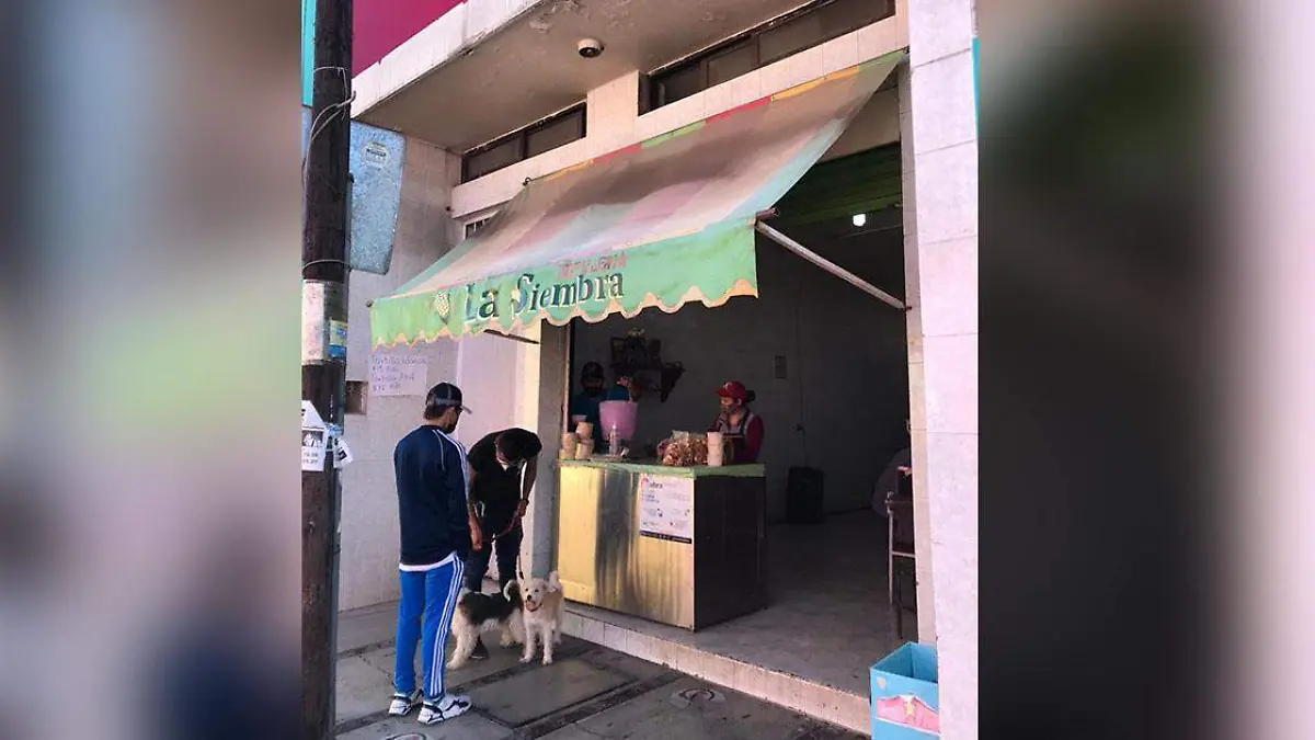 tortilleria la siembra en san andres cholula