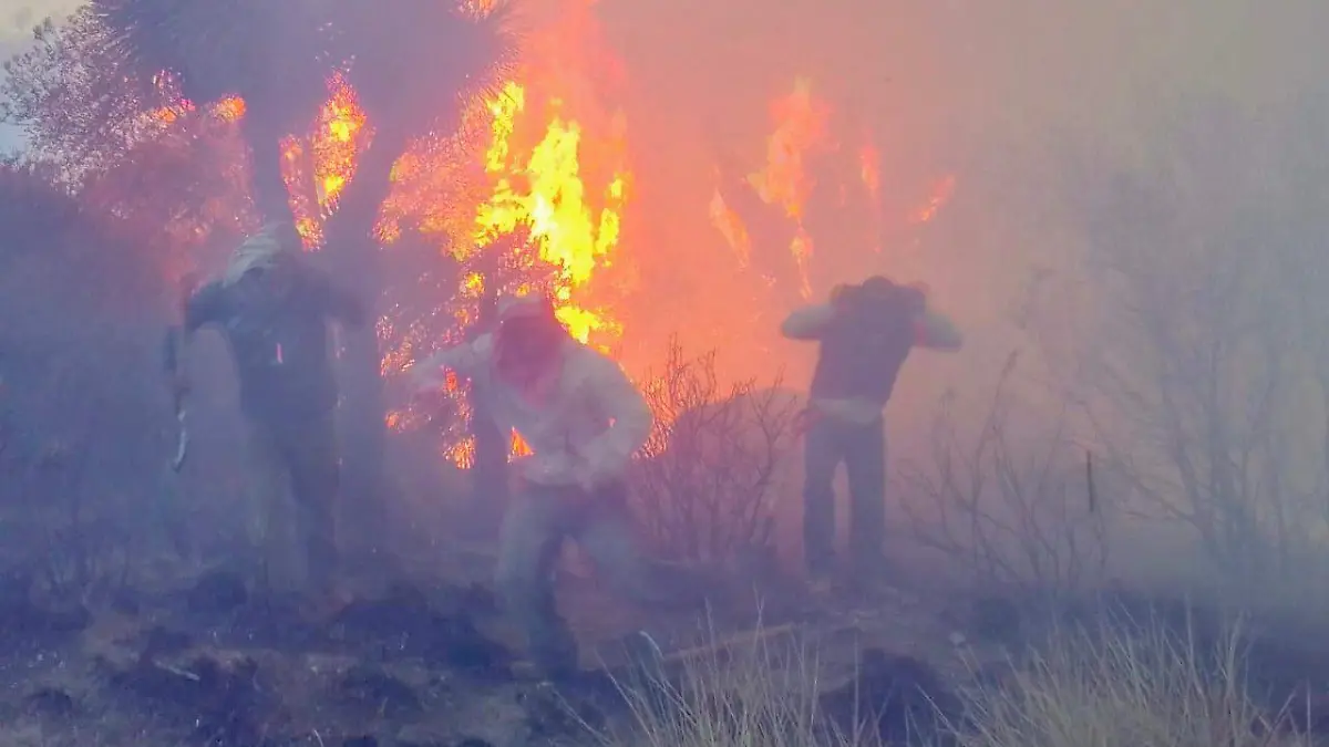 Incendio forestal Lafragua 3