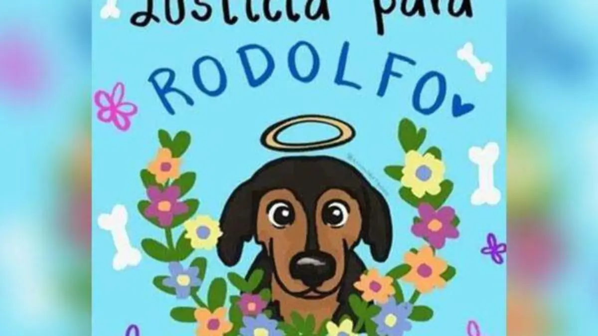 RODOLFO CORAZON