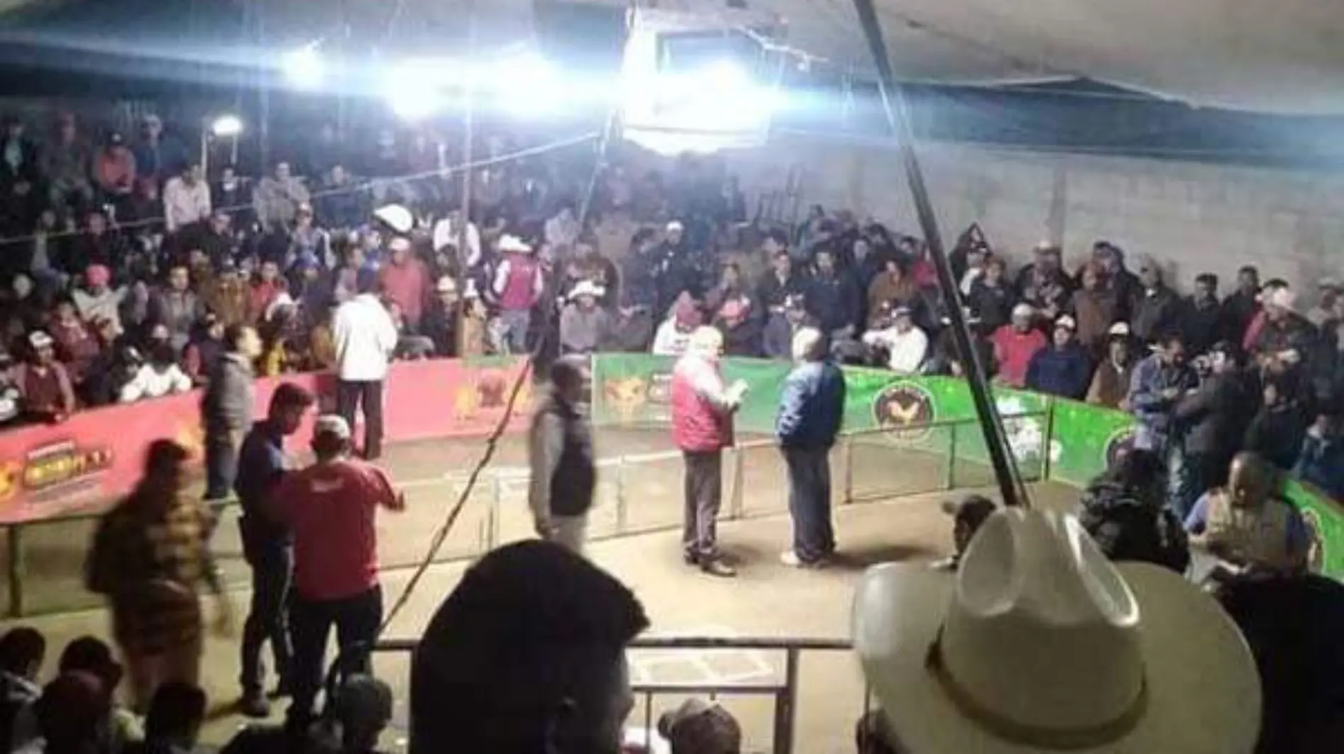 JARIPEO