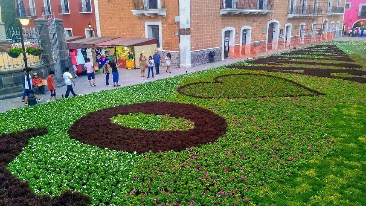 PRIMERA TAPETE ATLIXCO