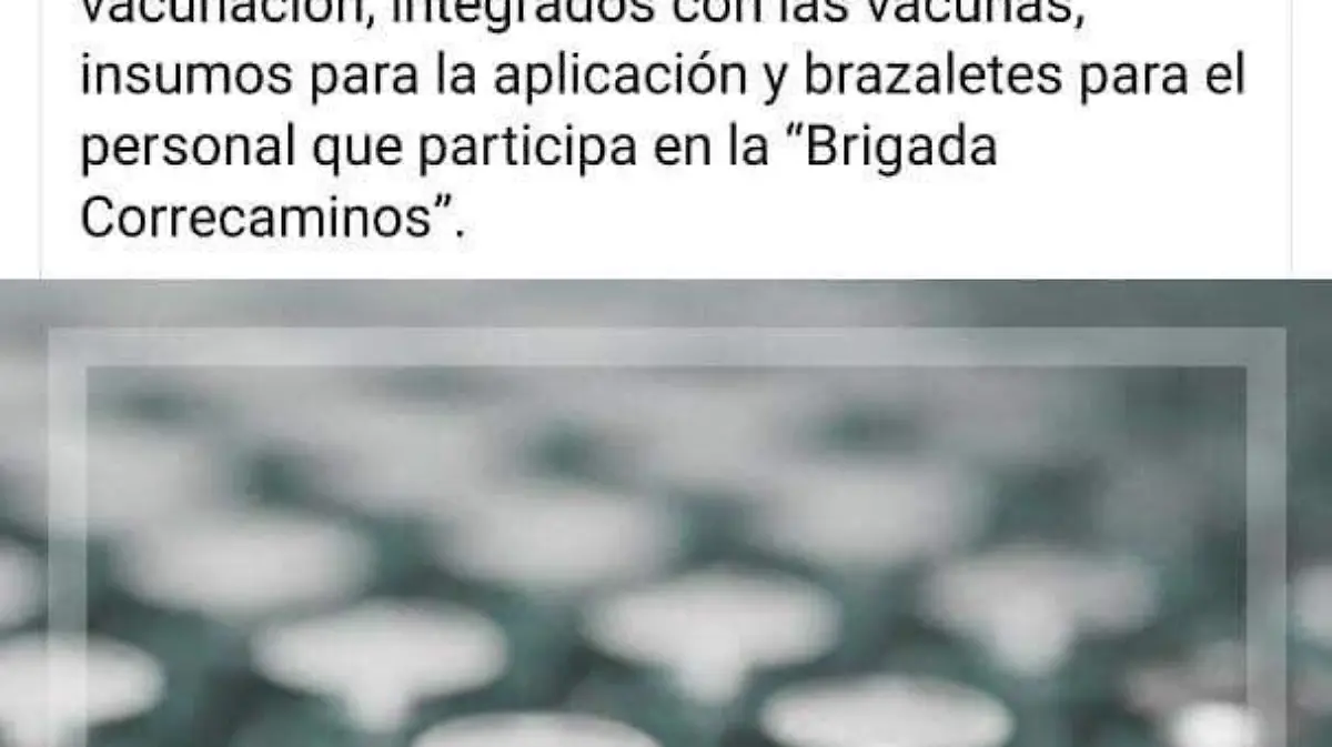 WhatsApp Image 2021-01-18 at 9.09.24 AM