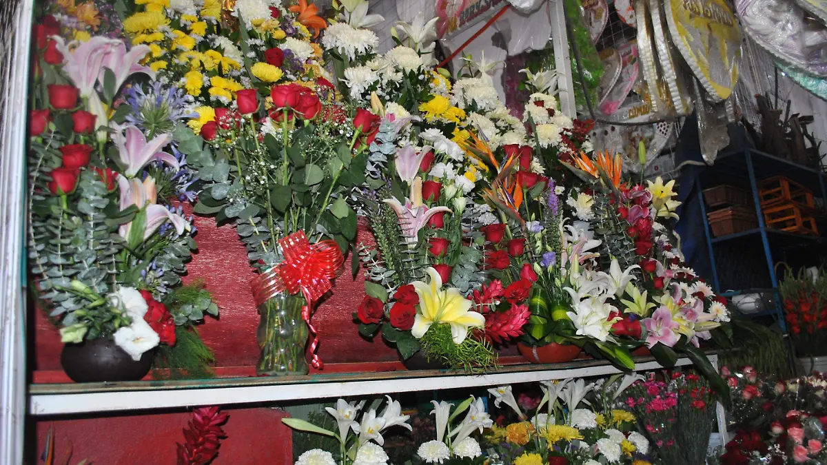 FLORES 14 DE FEBRERO - Brisselda Sarabia