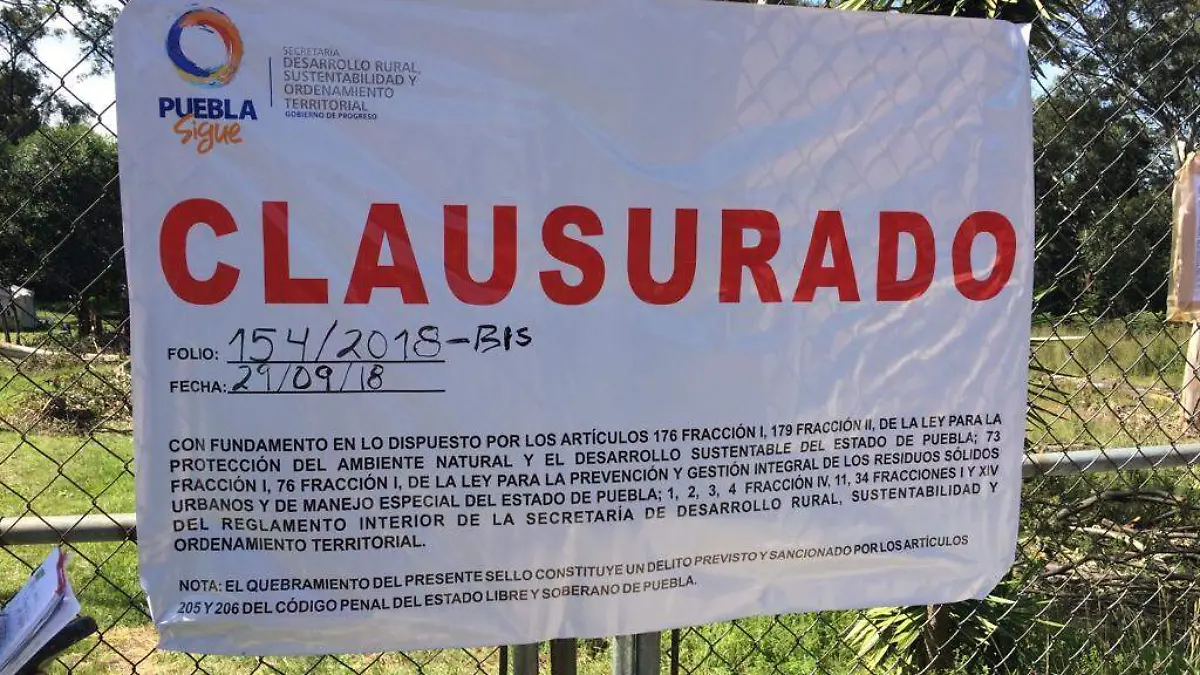 ex vivero
