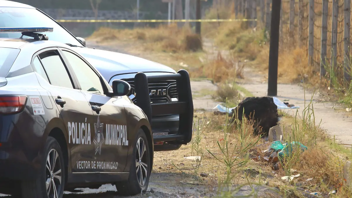 _MUERTA GOLPEADA-ROMERO VARGAS ERIKG 28042021003