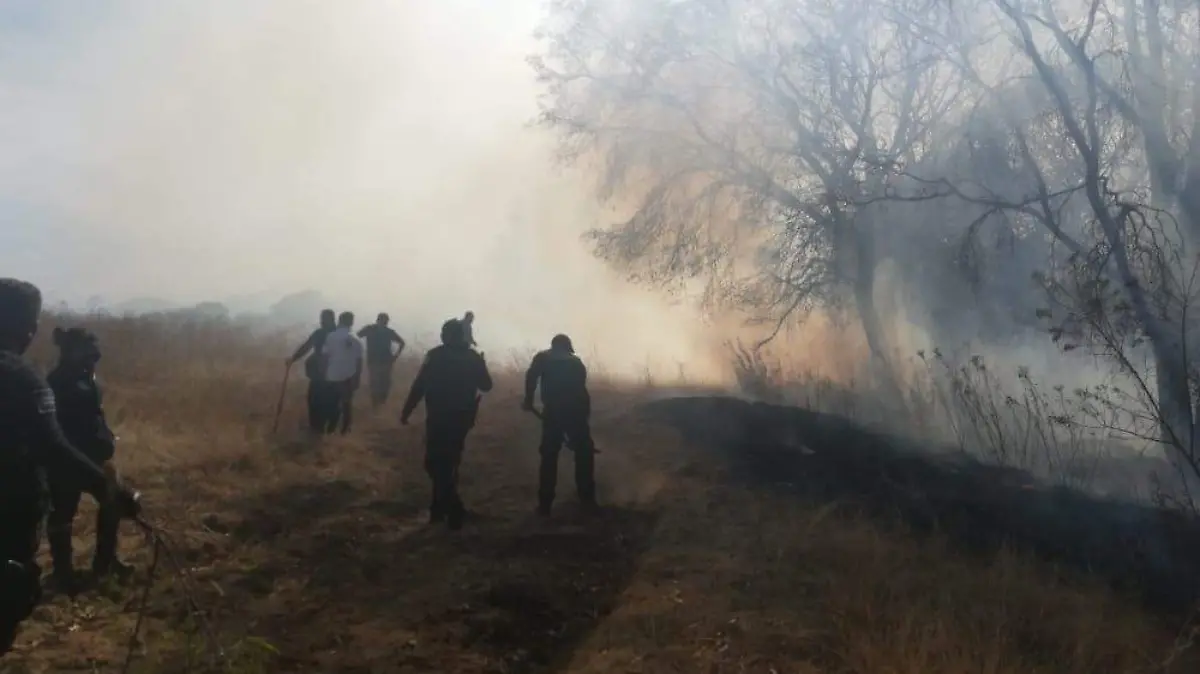 incendio forestal