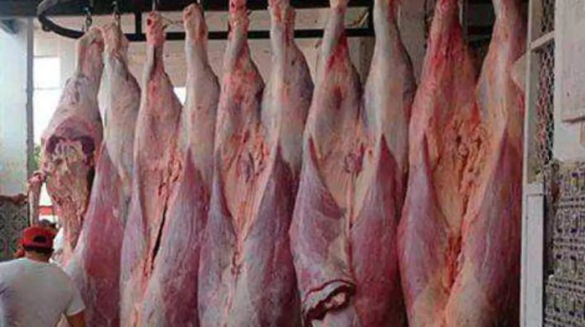 rastro-municipal-471x314