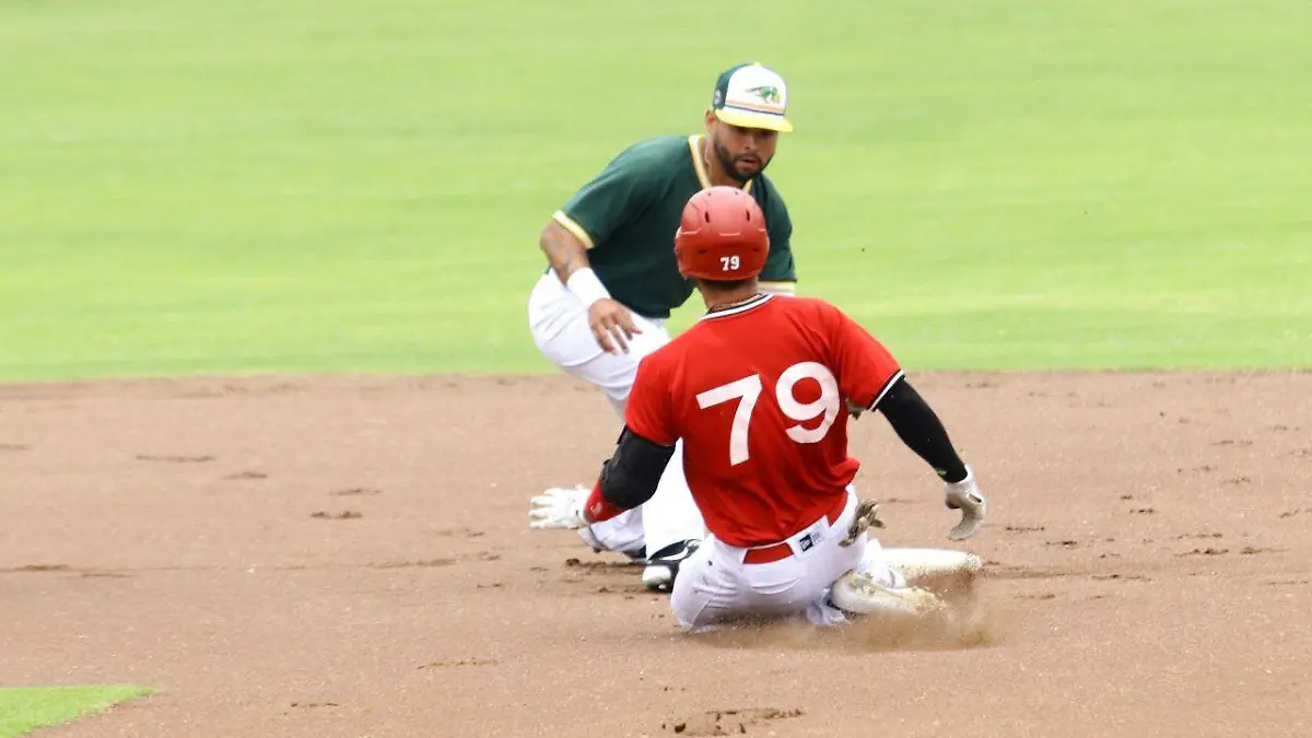 pericos 5 de mayo